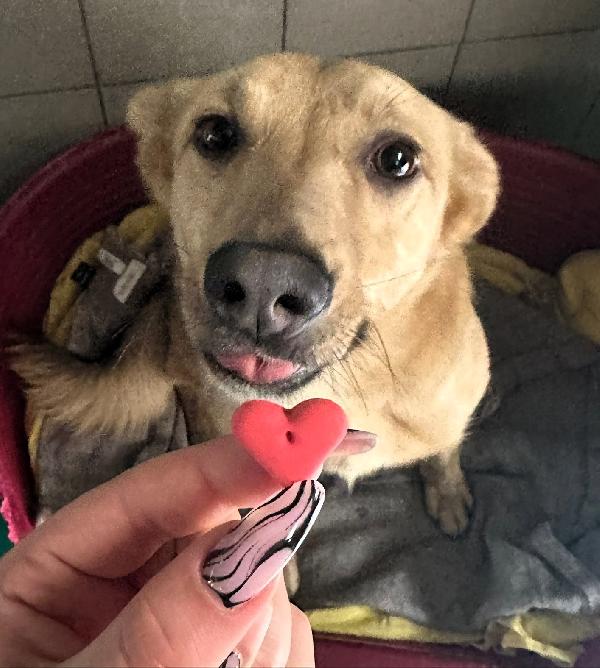 MANUEL DOLCE E TIMIDO Foto 2